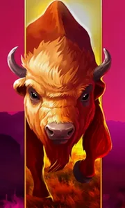 Big Wild Buffalo
