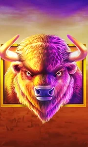 Buffalo King