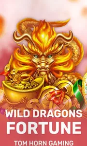 Wild Dragon`s Fortune