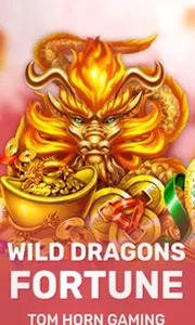 Wild Dragon`s Fortune